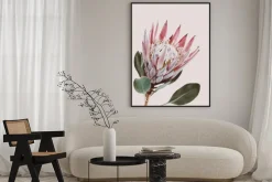 Plakat: Kwiat protea na jasnoróżowym tle