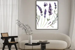 Plakat: Kwiaty i gałązki lawendy w stylu botanicznym