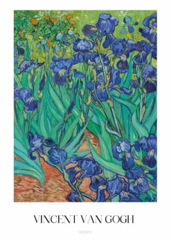 Plakat: Kwiaty irysy malunek vincent van gogh