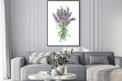 Plakat: Kwiaty lawendy. akwarela zioła medyczne