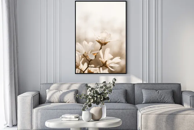 Plakat: Kwitnąca magnolia kwiaty na gałęzi drzewa