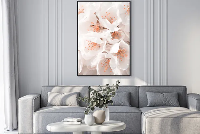 Plakat: Kwitnąca wiśnia białe kwiaty