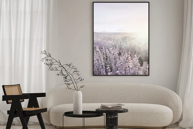 Plakat: Lawenda kwiaty polne o wschodzie słońca