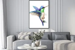 Plakat: Lecący koliber na białym tle