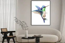 Plakat: Lecący koliber na białym tle