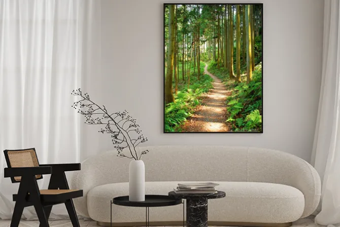 Plakat: Leśna ścieżka otoczona zielonymi drzewami