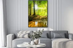 Plakat: Leśny krajobraz pełen światła