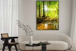 Plakat: Leśny krajobraz pełen światła