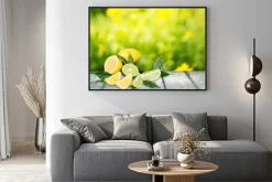 Plakat: Limonki i cytryny na drewnianym blacie