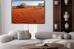 Plakat: Małe rośliny na pustyni zachodniej australii