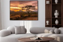 Plakat: Malownicza sawanna podczas zachodu słońca