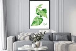 Plakat: Mięty oddziału akwarela