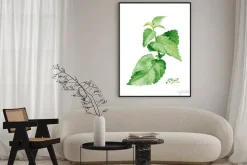 Plakat: Mięty oddziału akwarela