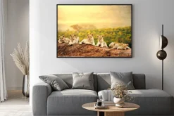 Plakat: Młode lwy na sawannie