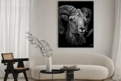 Plakat: Mountain sheep. artistic, monochrome, black and white, hand-drawn