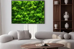 Plakat: Naturalna zieleń mchu 3d