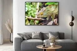 Plakat: Oddział zielona chameleon lizard on