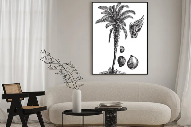 Plakat: Oil palm vintage illustration.