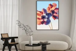 Plakat: Orange flowers on sunset sky background. close-up