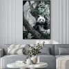 Plakat: Panda na drzewie