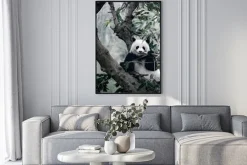 Plakat: Panda na drzewie
