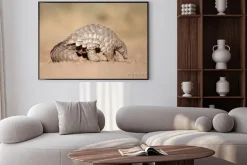 Plakat: Pangolin kopania mrówek.