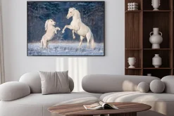 Plakat: Piękny biały andaluzyjski ogier bawi się z małym kuc szetlandzki