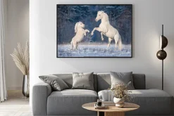 Plakat: Piękny biały andaluzyjski ogier bawi się z małym kuc szetlandzki