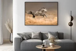 Plakat: Piękny koń galop bieg w pyle