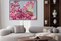 Plakat: Piękny motyl na kwiatach bzu