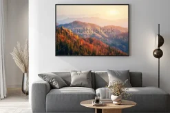 Plakat: Piękny widok na las w słoneczny dzień. jesień krajobraz. karpaty