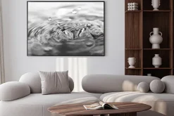 Plakat: Plusk wody monochromatyczny