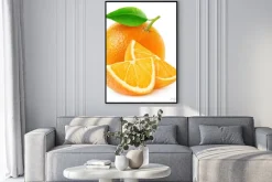 Plakat: Pojedyncze pomarańczowe owoce i plastry