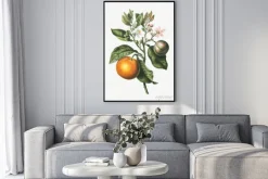 Plakat: Pomarańcza z listkami i kwiatami