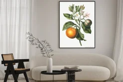 Plakat: Pomarańcza z listkami i kwiatami