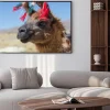 Plakat: Portret alpaca