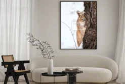 Plakat: Portret cougar, puma, puma, cougar za drzewem.