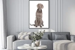 Plakat: Poważny portret weimarski pies muszką