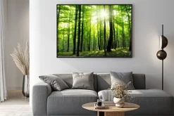 Plakat: Promienie słońca w gęstym lesie latem