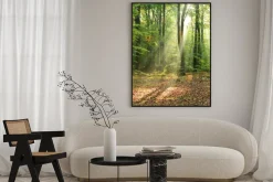 Plakat: Rano w lesie