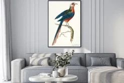 Plakat: Ręcznie rysowane z kukułką zakrzywione krzywej