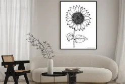 Plakat: Retro black outline ink pen sketch of sunflower. hand drawn illustration
