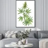Plakat: Roślina konopi w stylu botanicznym