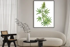 Plakat: Roślina konopi w stylu botanicznym