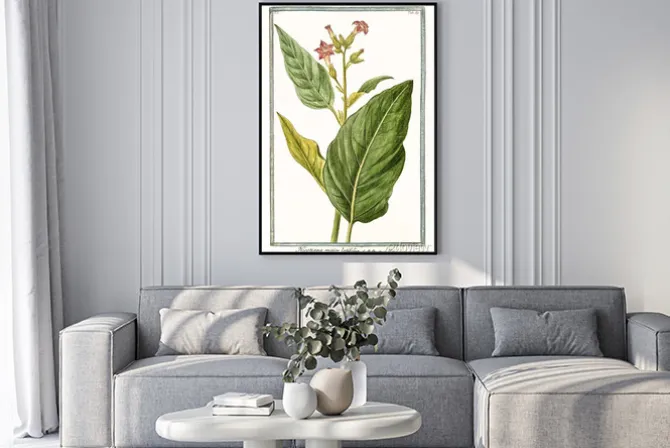 Plakat: Roślina na rysunku retro