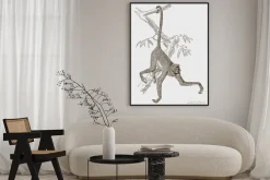 Plakat: Rycina przedstawiająca małpę na gałęzi