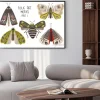 Plakat: Set of folk art decorated moths.