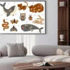 Plakat: Set of isolated celestial animals