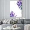 Plakat: Set of lavender flowers elements on an isolated white background,