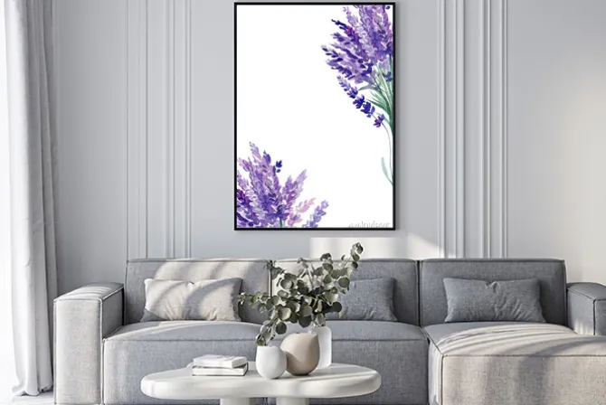 Plakat: Set of lavender flowers elements on an isolated white background,